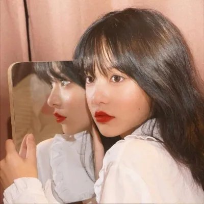 狐狸女士第二季